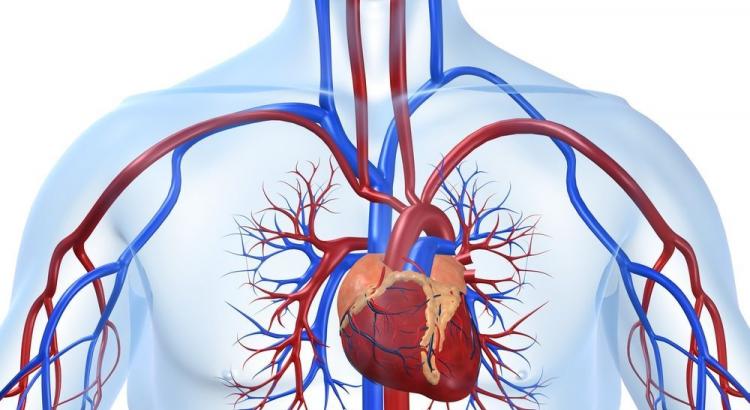 Arritmia en un ECG: procedimiento para realizar el estudio, interpretación de los resultados, asesoramiento de los cardiólogos D